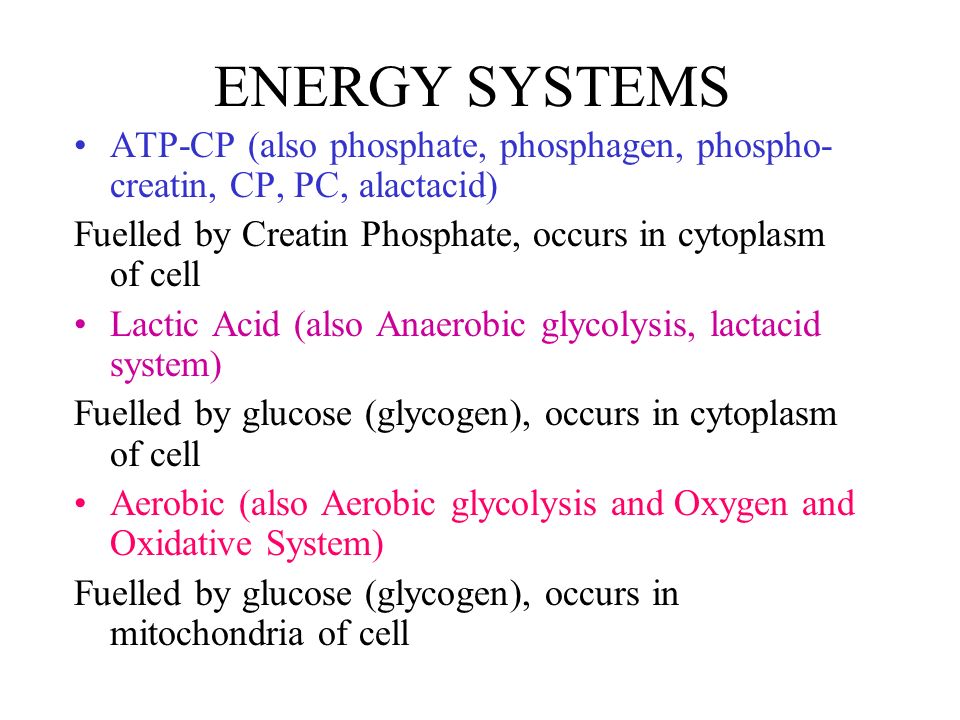 A study of the atpcp system anaerobic and the aerobic system